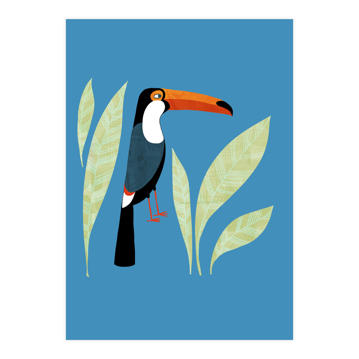 Toucan (Print Only)