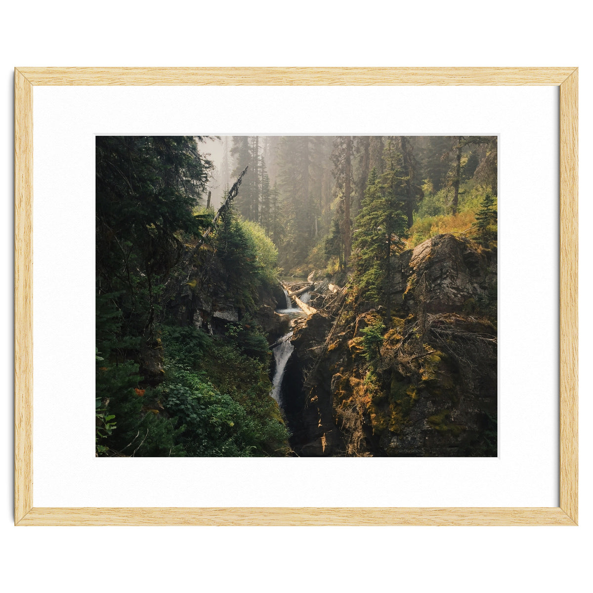 Glacier National Park I