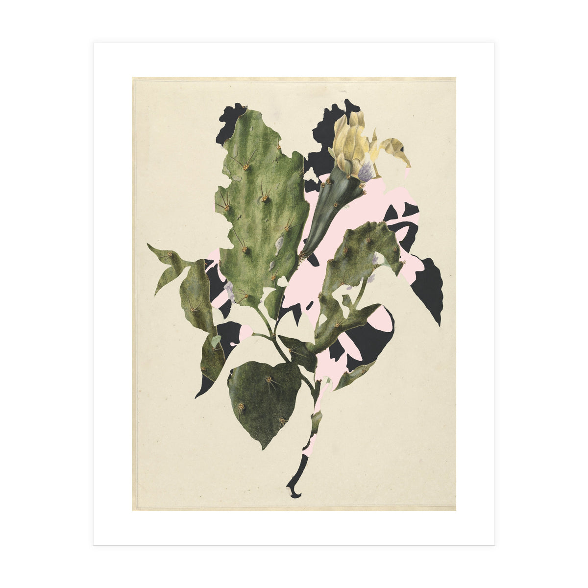 The First Plant · E3 (Print Only)