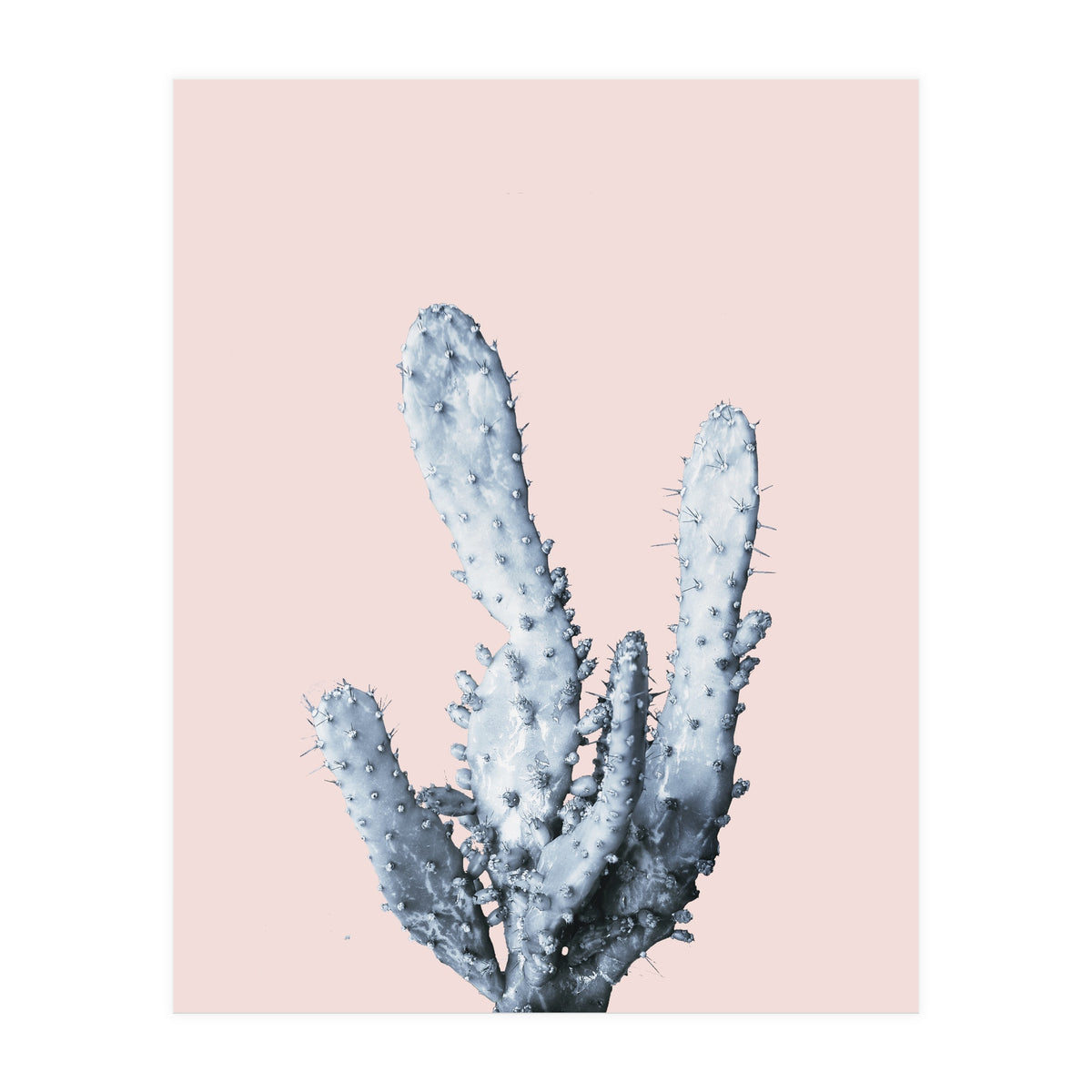 Cactus collection BL-I (Print Only)