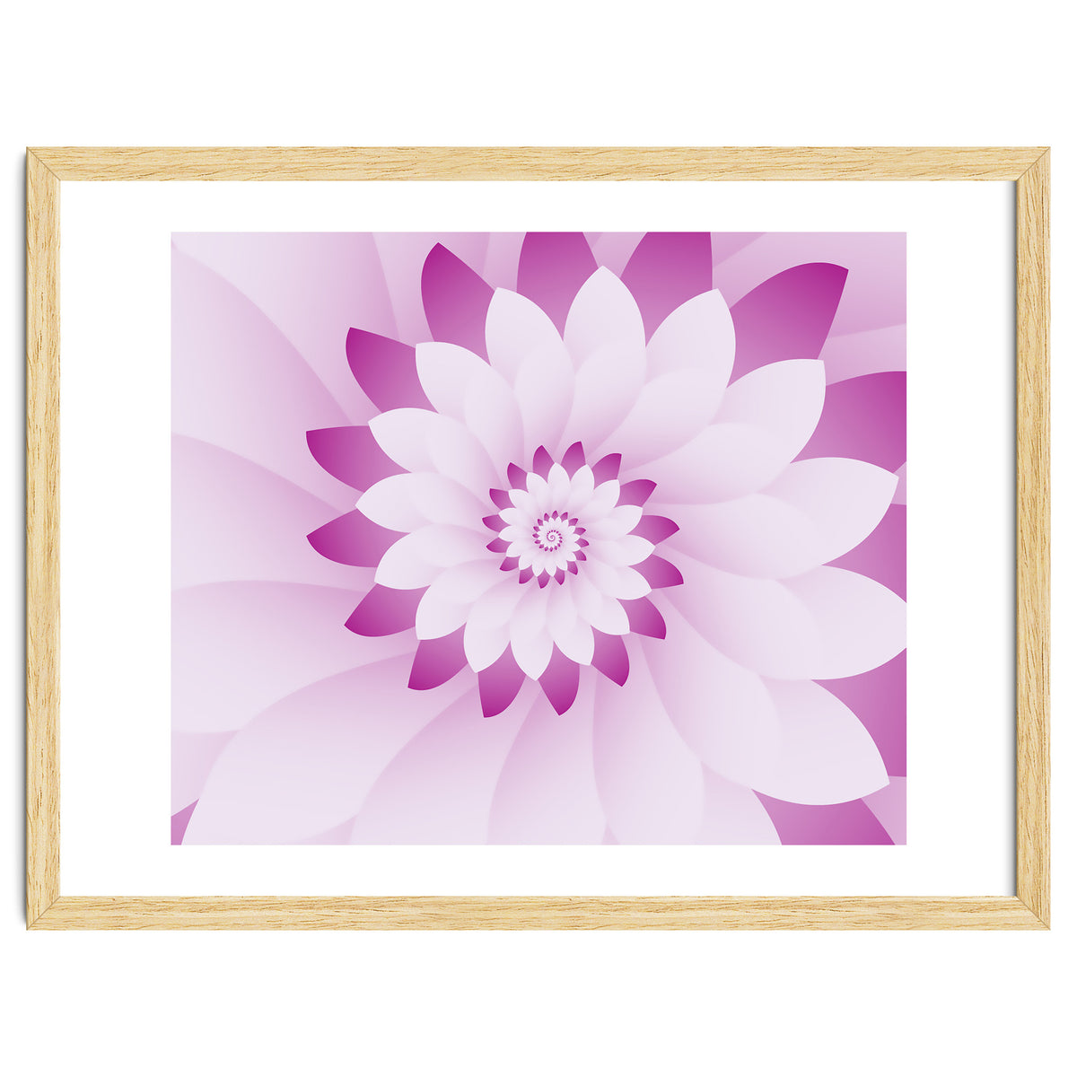 Abstract Pink & White Floral Design