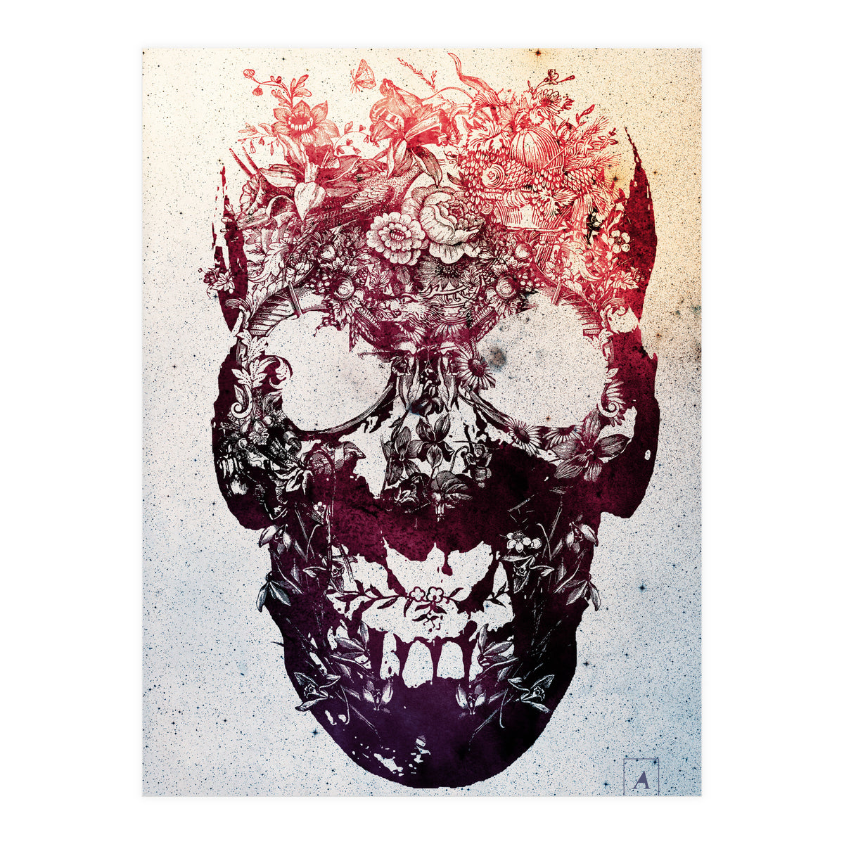 Floral Skull (Print Only)