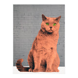 Everybody Wants To Be A Cat  (Print Only) thumbnail
