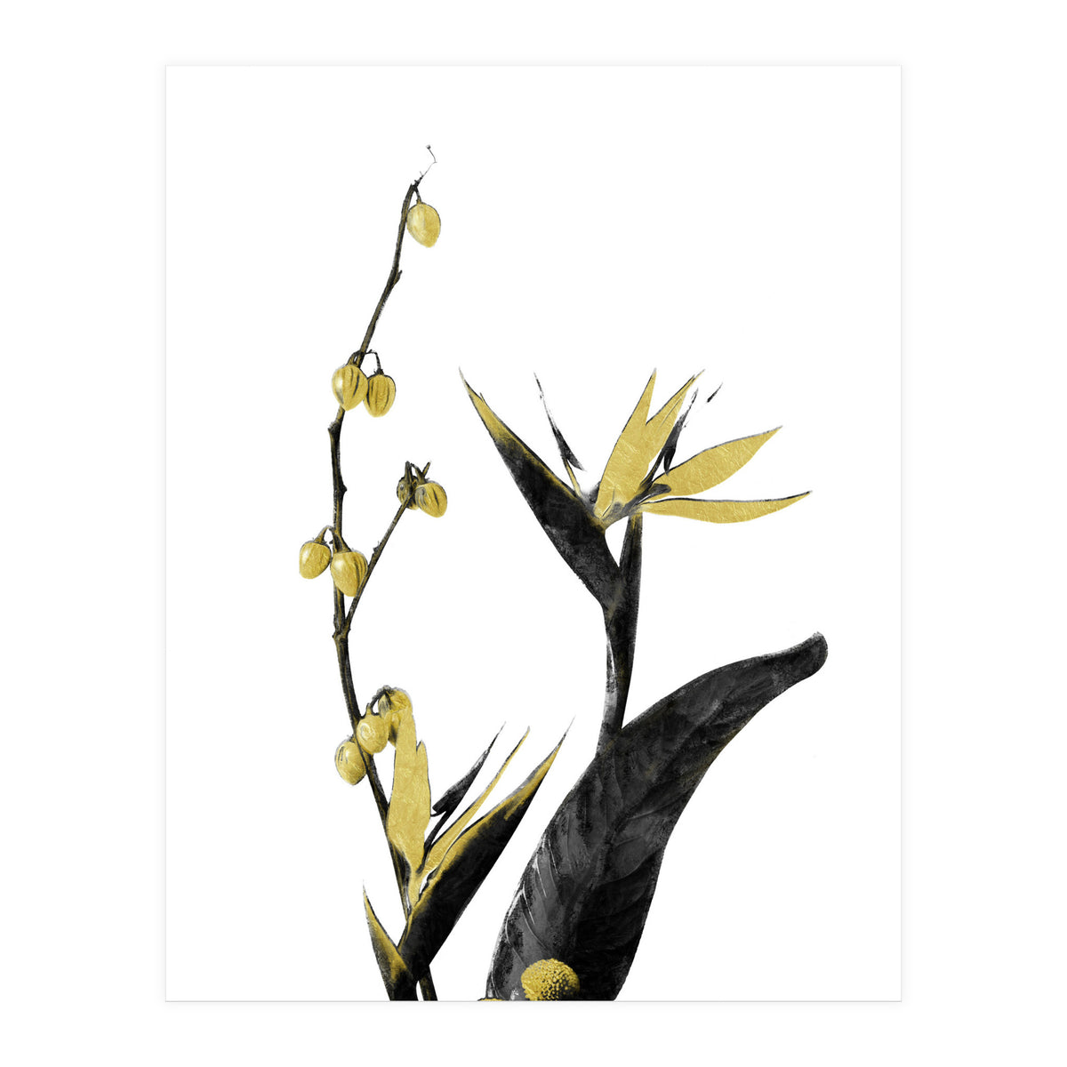 Flower Minimal Black And Gold 02 (Print Only)