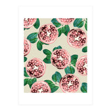 Pomegranate V2 (Print Only) thumbnail
