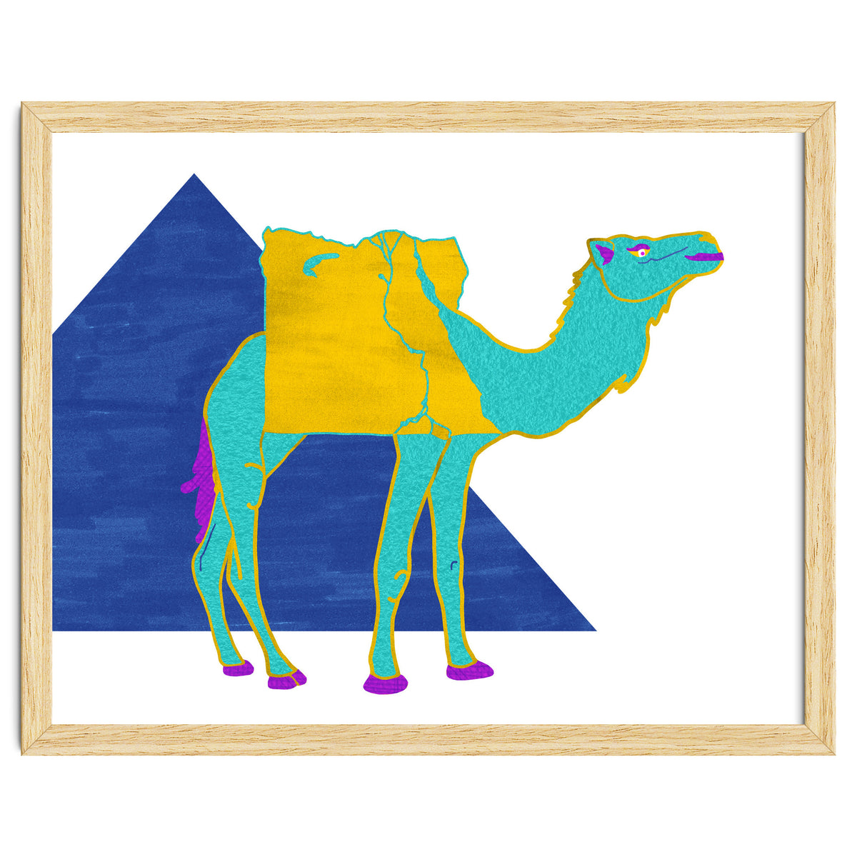 Egyptian Dromedary