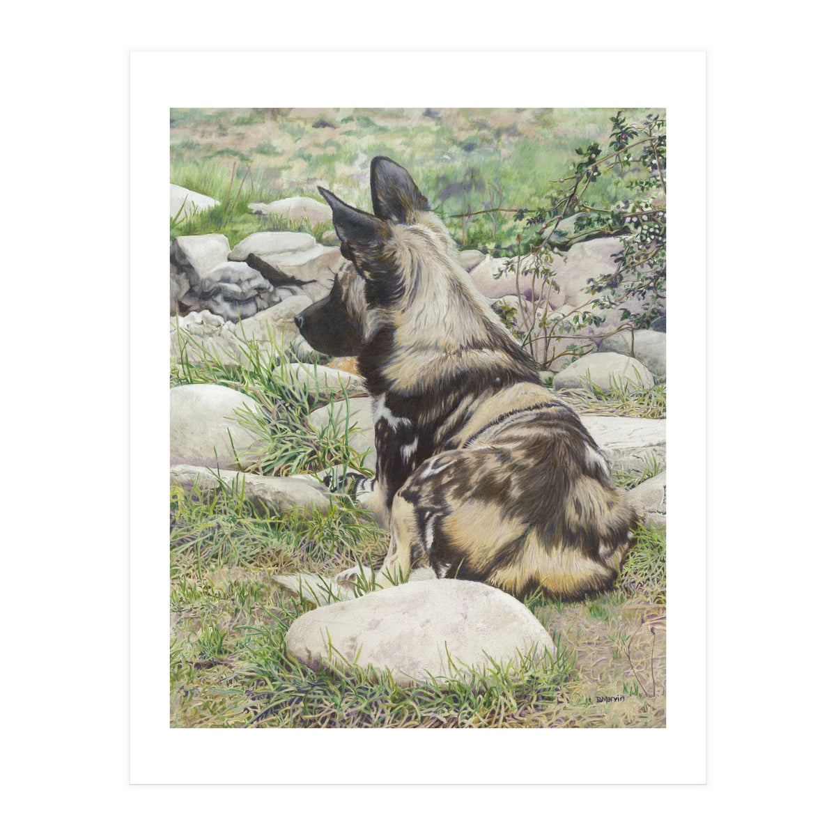 African Painted Dog I (Print Only)