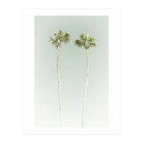Vintage Palm Trees  (Print Only) thumbnail