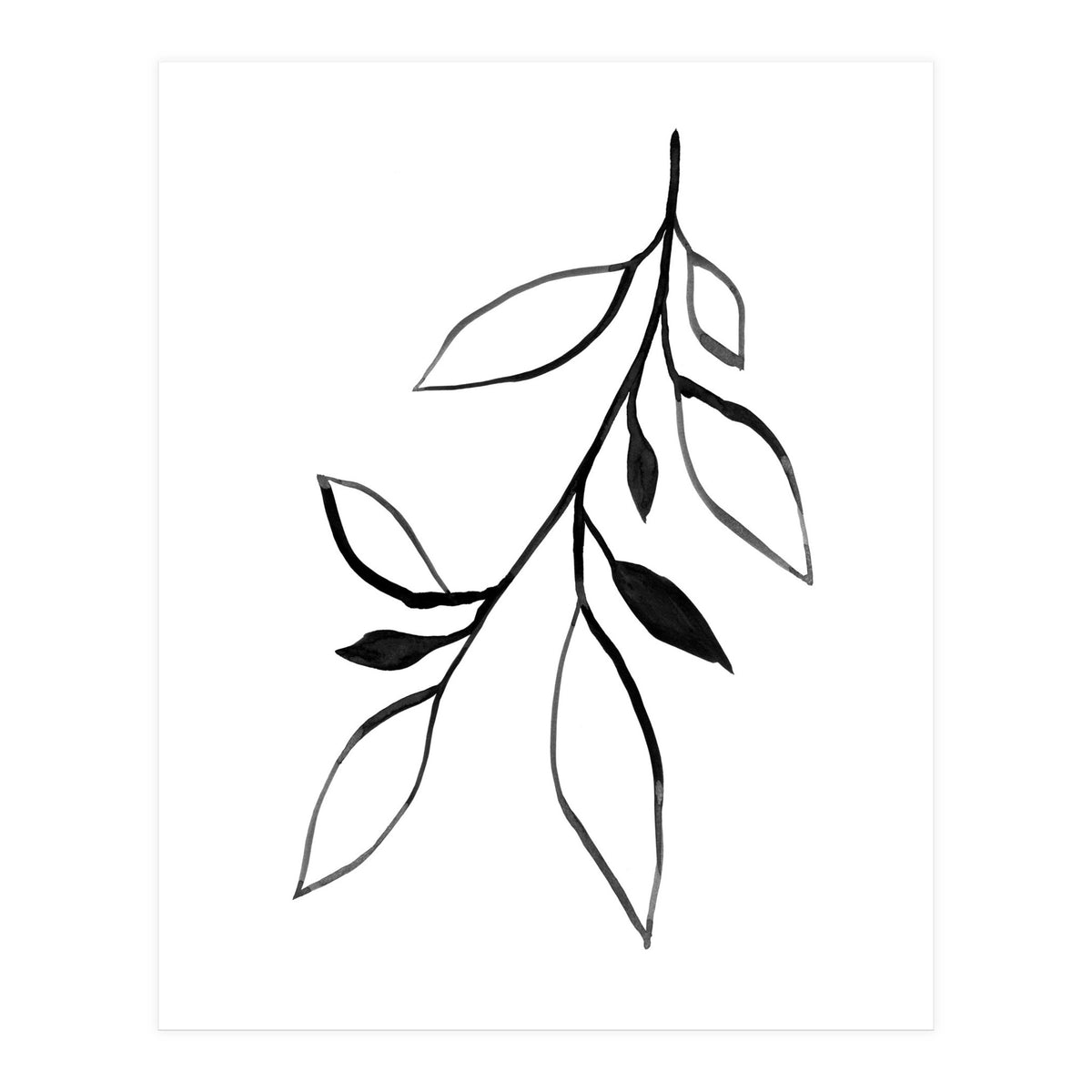 Ink Plant 2 (Print Only)