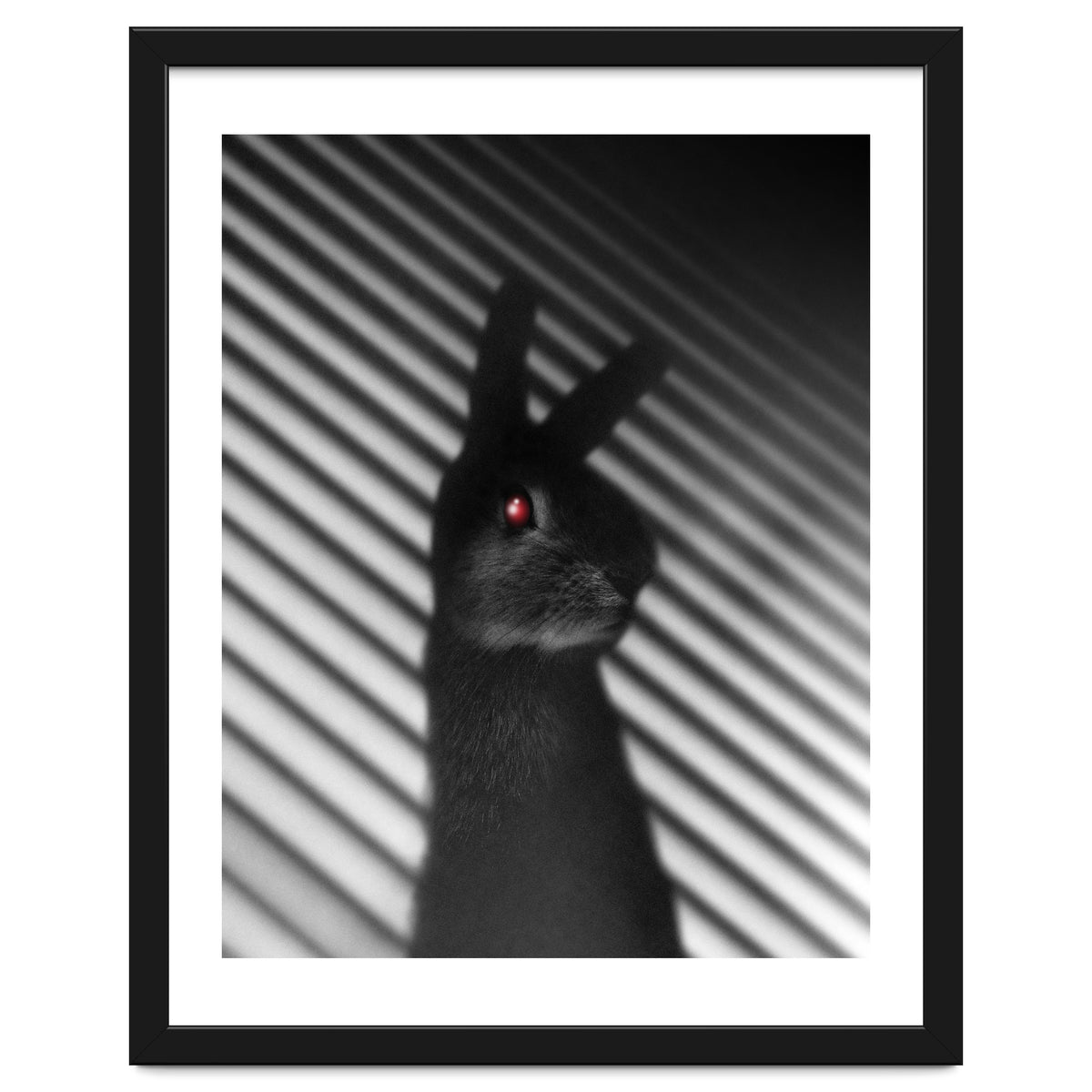 Shadow Bunny
