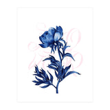 rosa blu (Print Only) thumbnail