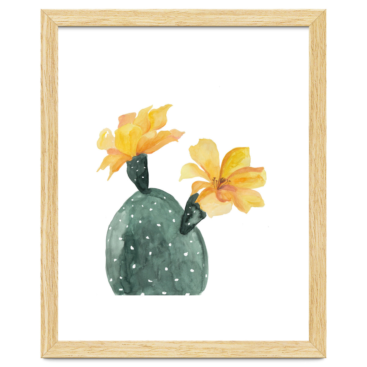 Botanical Illustration Yellow Cactus Flowers