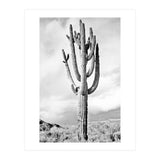 Loner (Print Only) thumbnail