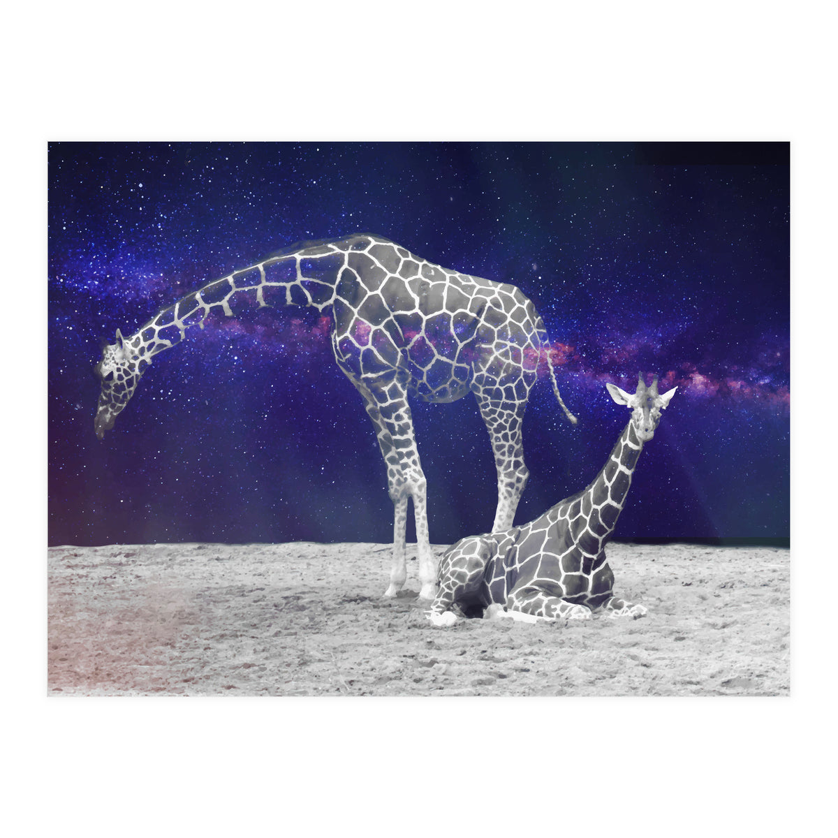 Giraffes on The Moon (Print Only)