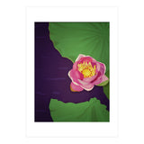 Water lily (Print Only) thumbnail