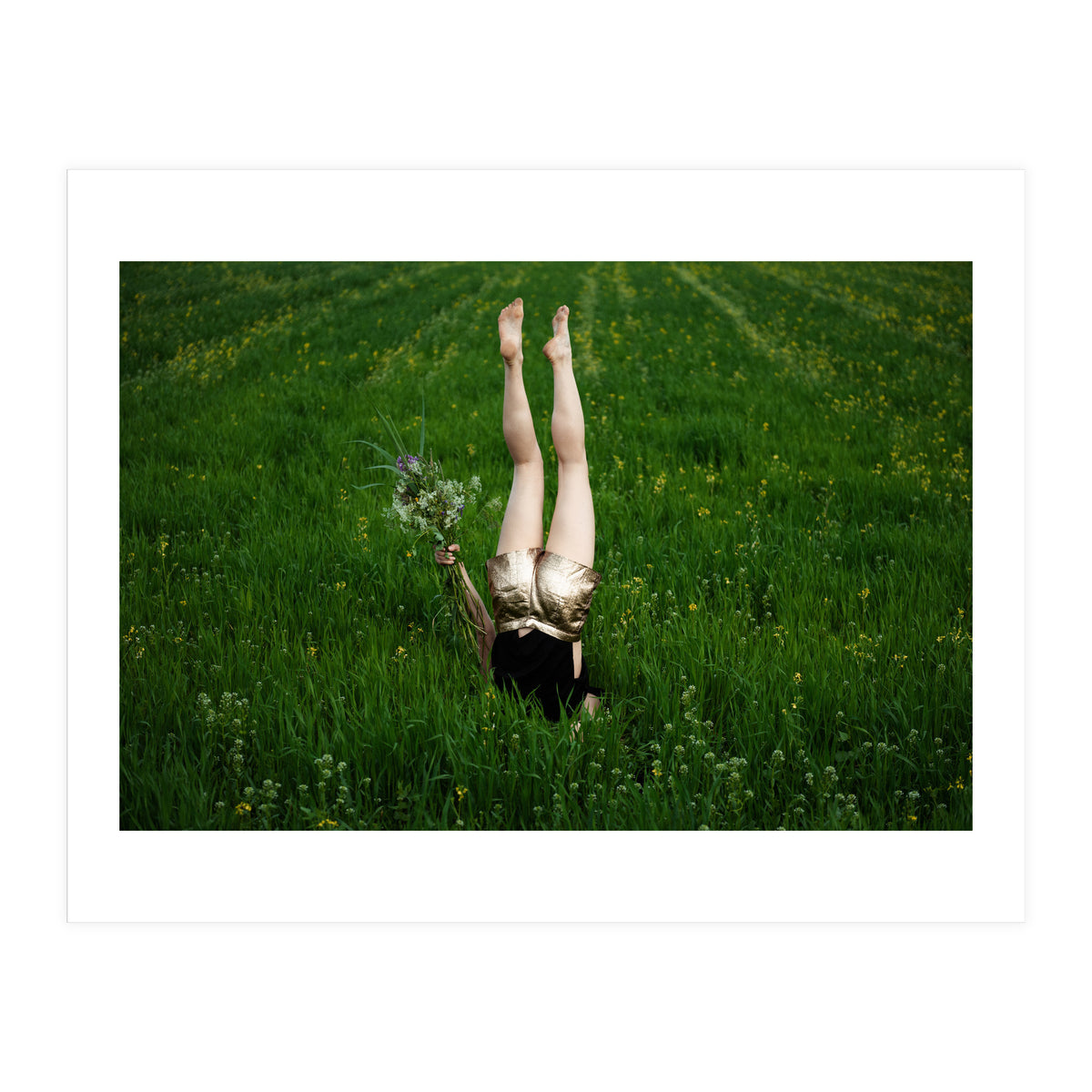 Gravity (Print Only)