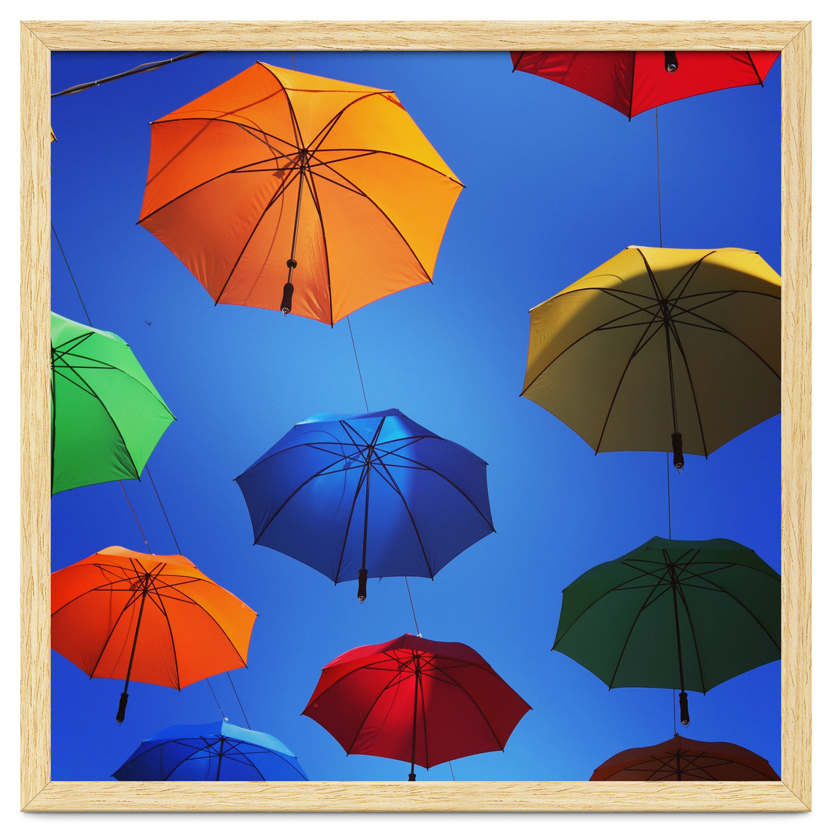 Rainbow umbrellas