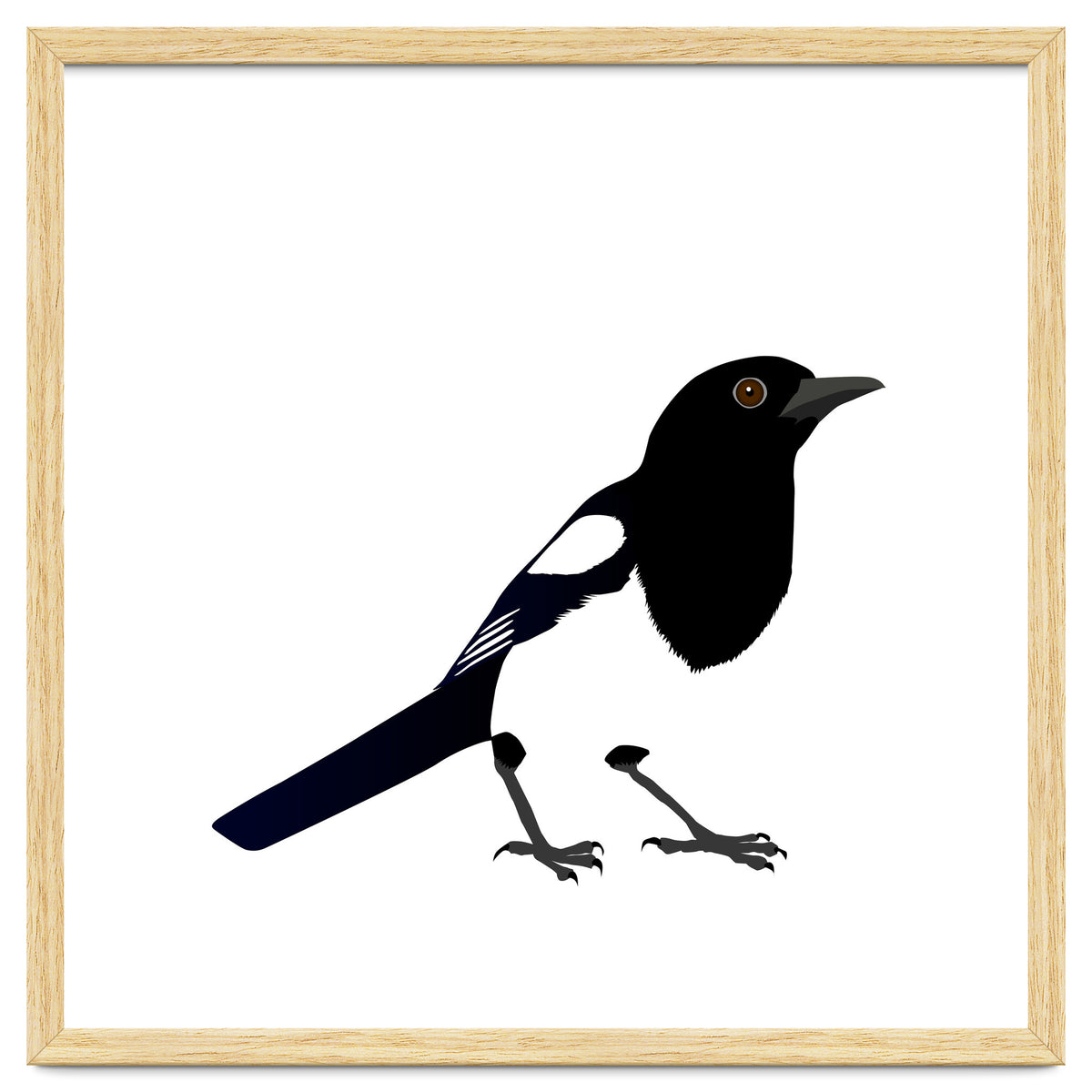 Magpie