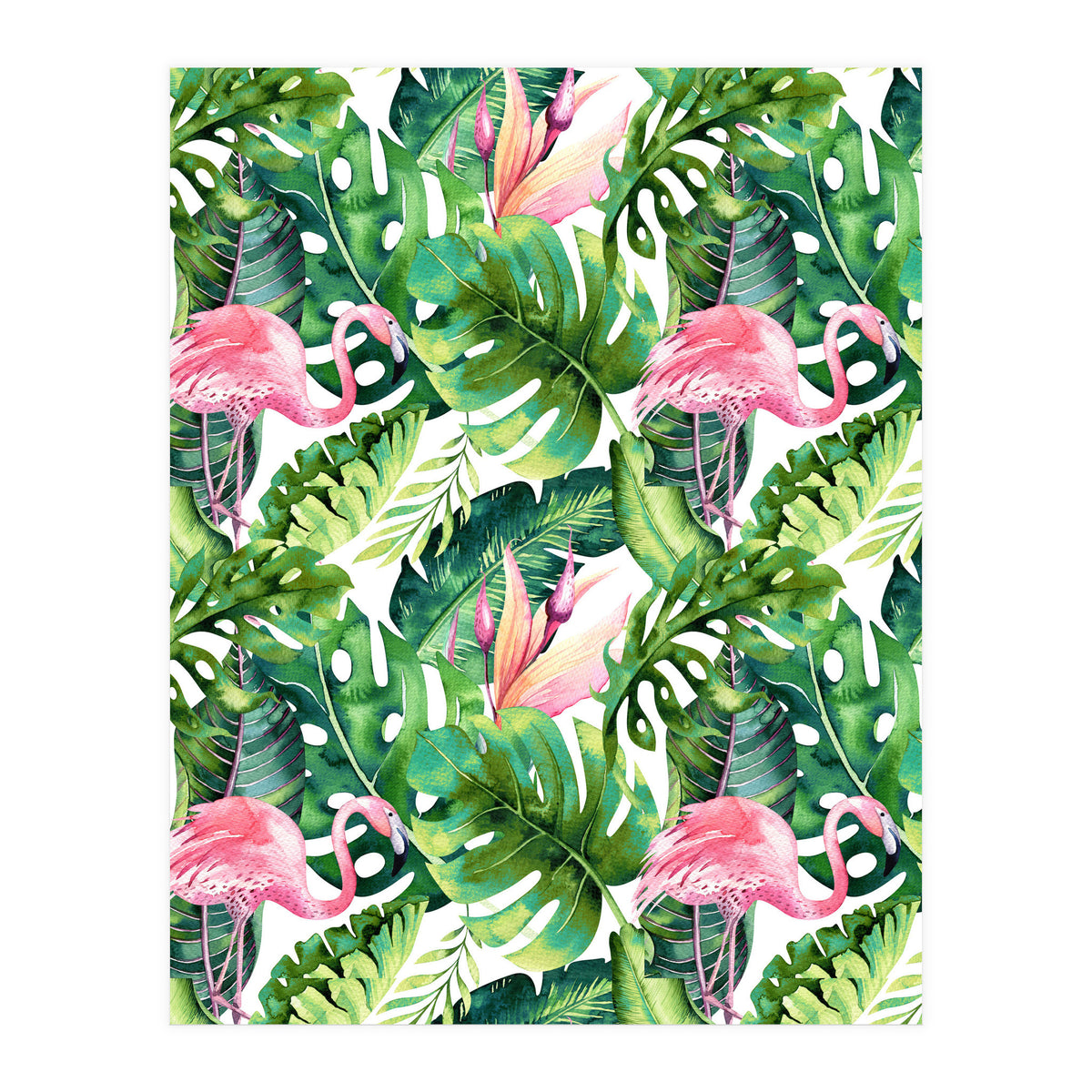Flamingo Tropical II (Print Only)