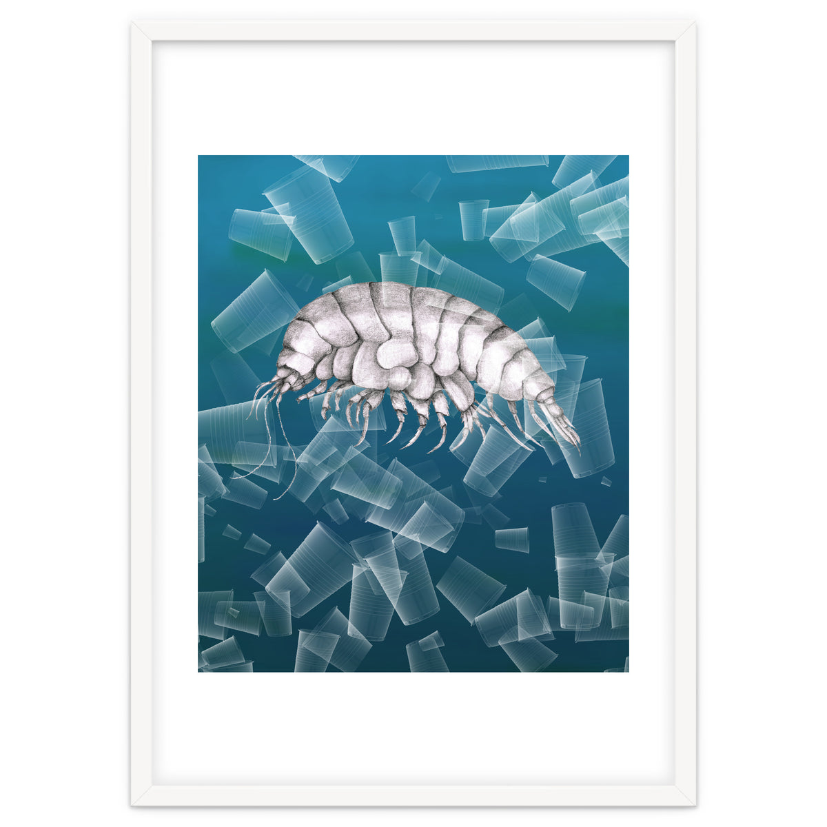 Eurythenes Plasticus