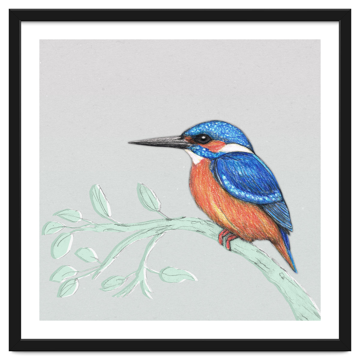 The kingfisher