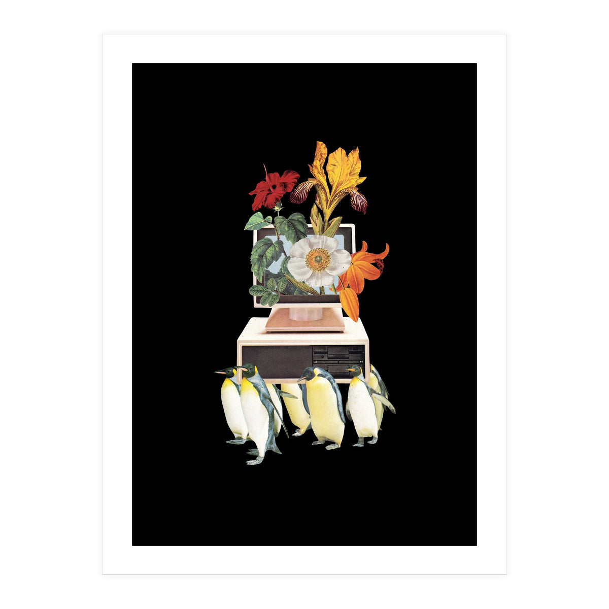 Penguin Os (Print Only)