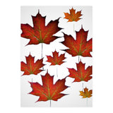 Autumn  leaves (Print Only) thumbnail
