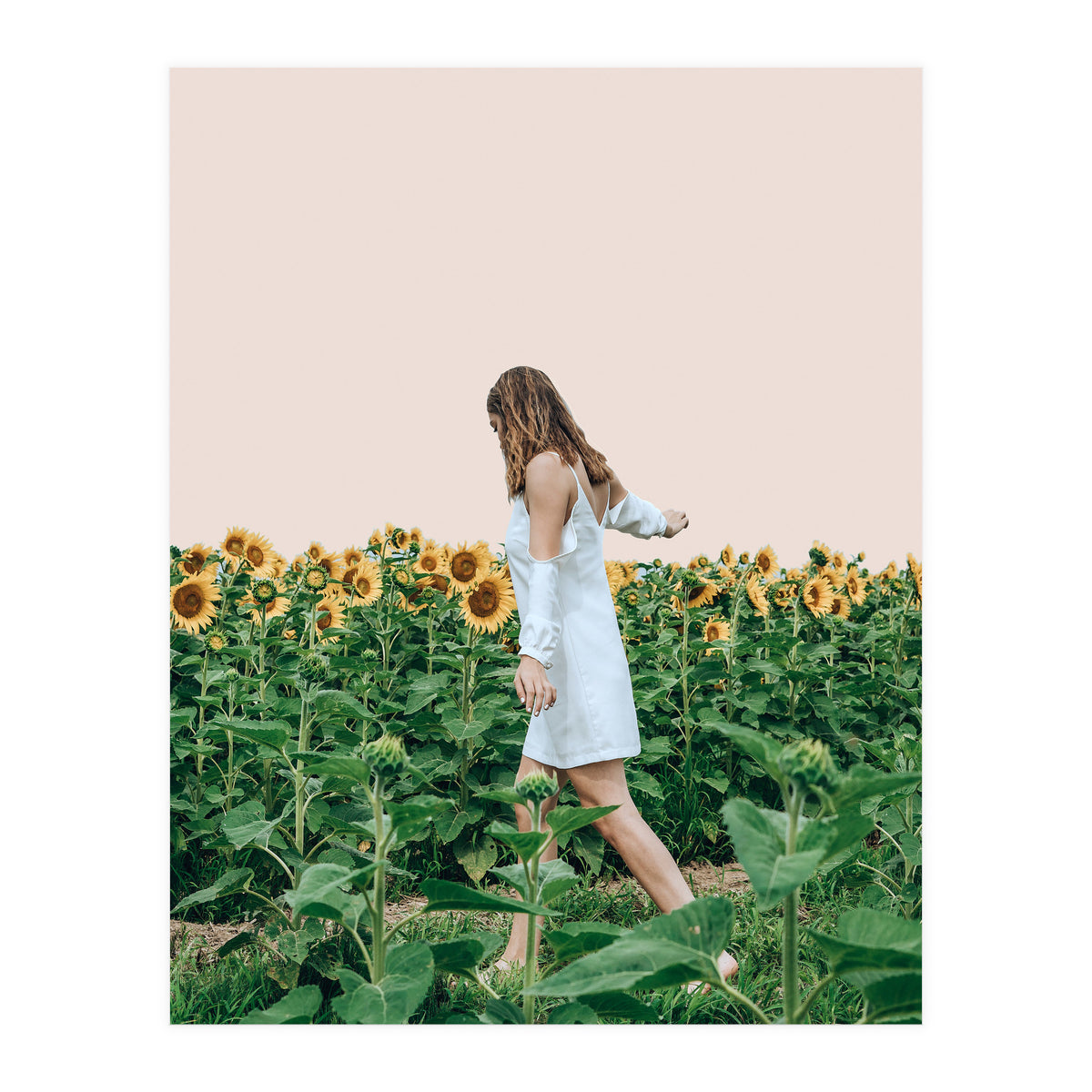 Lost In Sunflowers (Print Only)