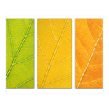 Autumn Leaves (Print Only) thumbnail