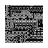 BLACK AND WHITE EXOTIC (Print Only) thumbnail