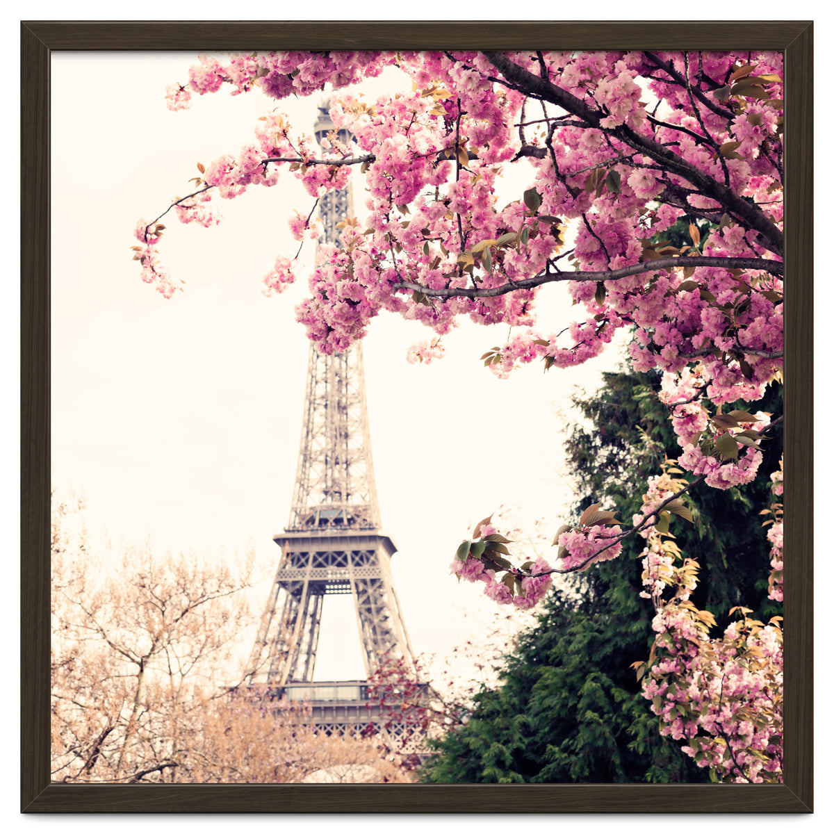 Paris in the Spring