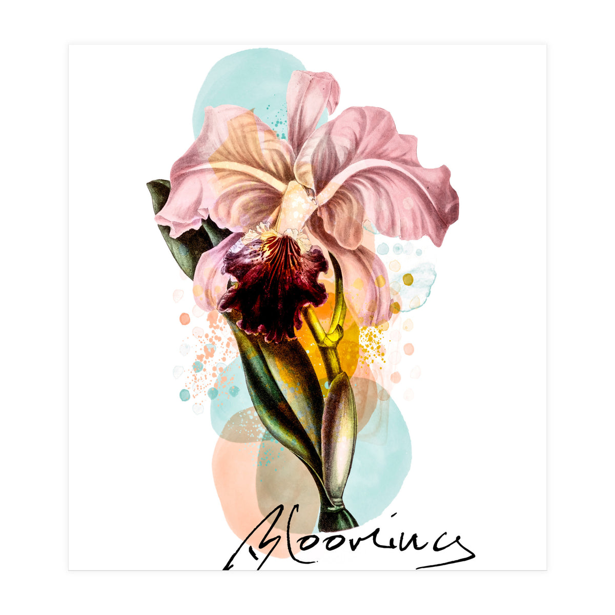 Blooming (Print Only)