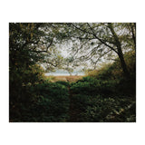 Tomales Bay (Print Only) thumbnail