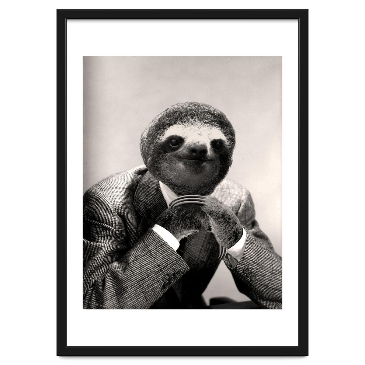 Gentleman Sloth 3