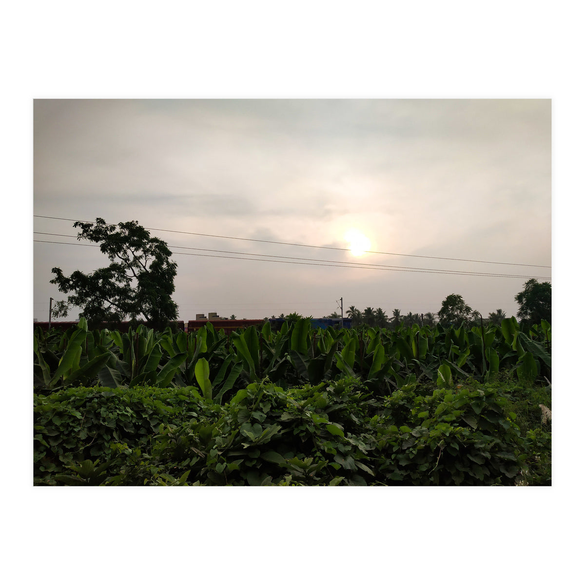 Never Ending Journey (Print Only)