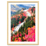 Valley of Pink Trees | Fantasy Pop of Color Forest Nature | Jungle Adventure Road Trip Pine thumbnail