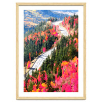 Valley of Pink Trees | Fantasy Pop of Color Forest Nature | Jungle Adventure Road Trip Pine