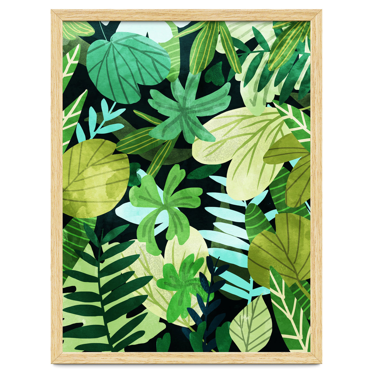 Rainforest Ii