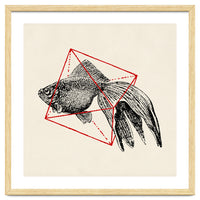 Fish In Geometrics III (Square)