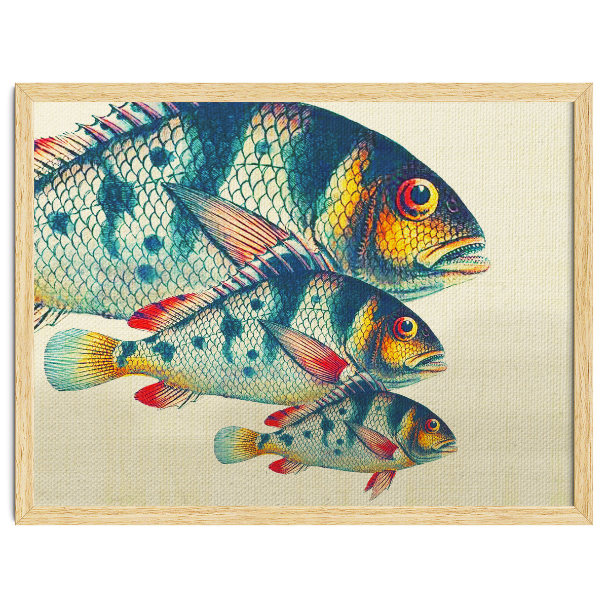 Fish Classic Designs 3
