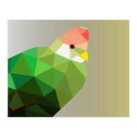 Red Crested Turaco Low Poly Art (Print Only)