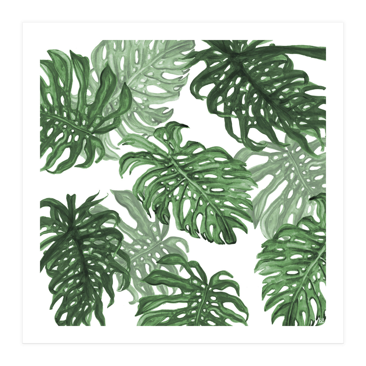 Monstera Deliciosa (Print Only)