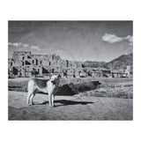 Taos (Print Only) thumbnail