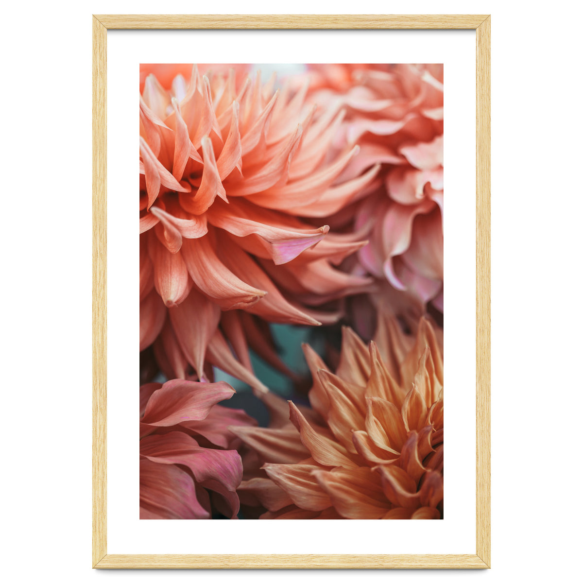 Vintage Dahlia