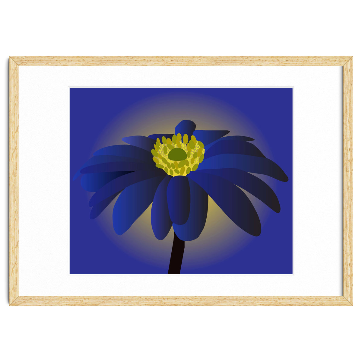 Anemone Blanda Flower Art