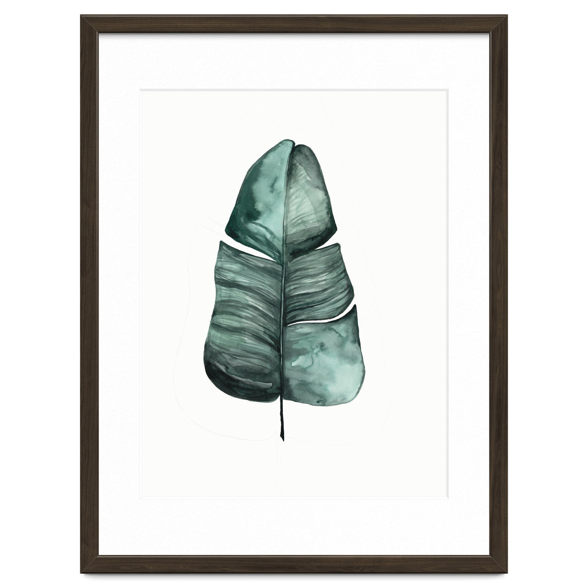 Botanical Illustration Banana Leaf