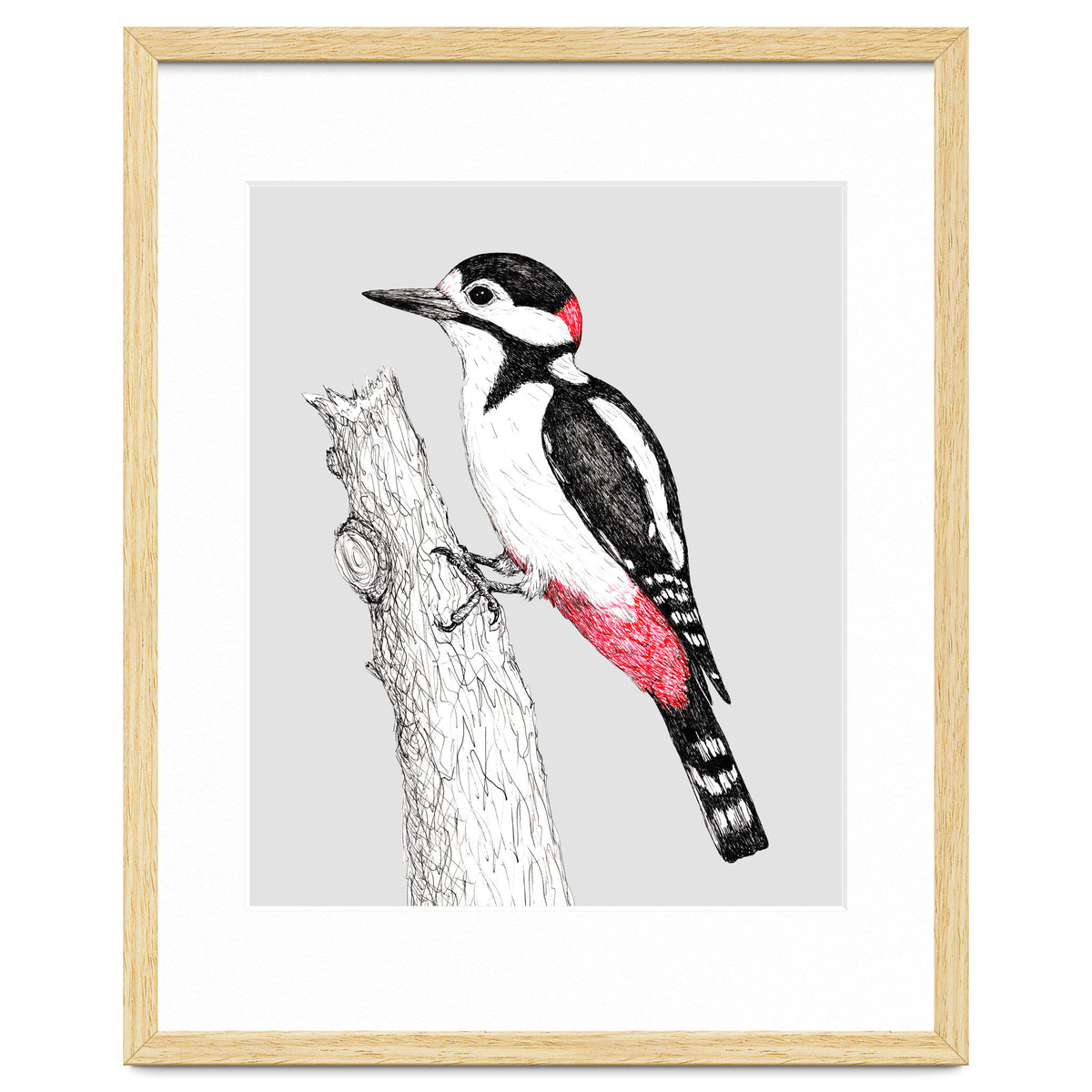 Great spotted woodpecker