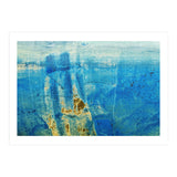 Quinn (Print Only) thumbnail