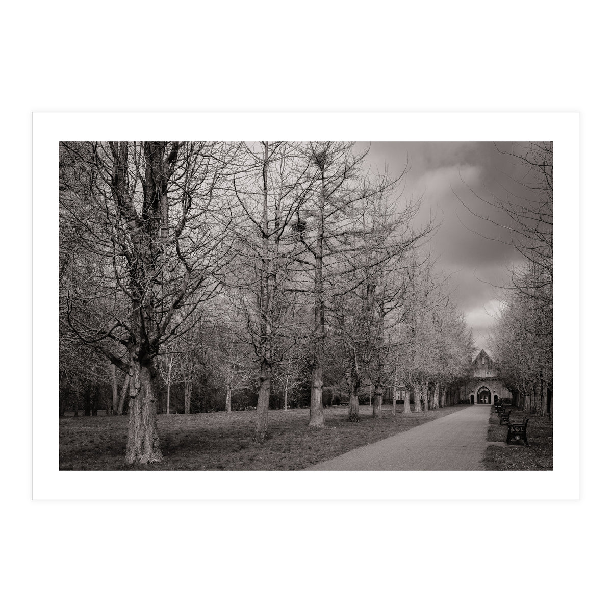 Bute Park, Cardiff (Print Only)
