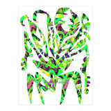 Planta Salvaje 17 Copia (Print Only) thumbnail